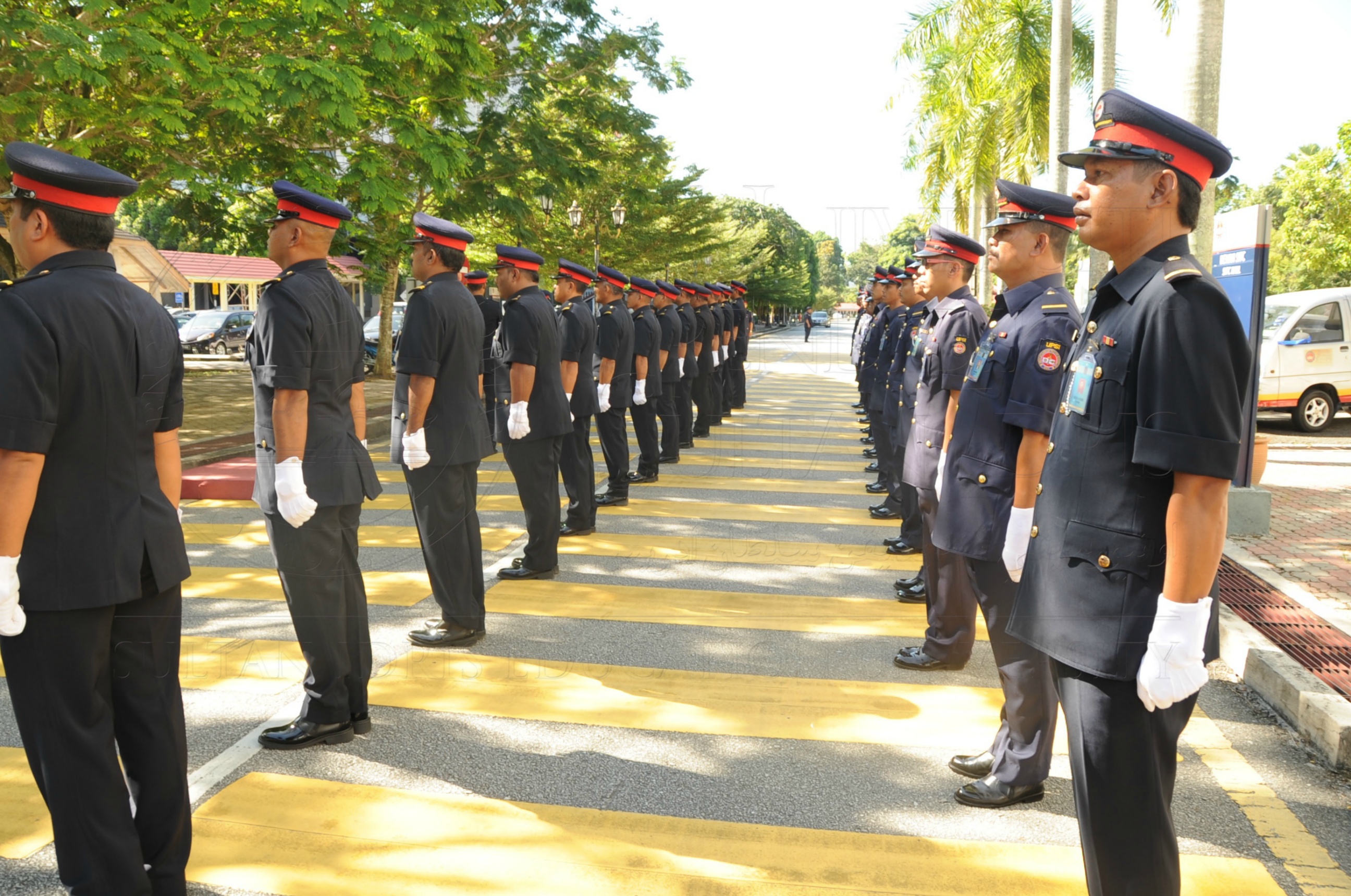 PRO 16 6 AMANAT VCHAS 8546